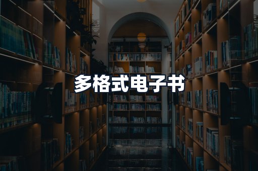 多格式电子书
